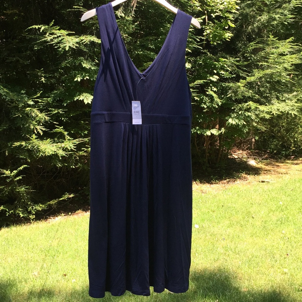 LOFT Navy Blue Sleeveless Dress